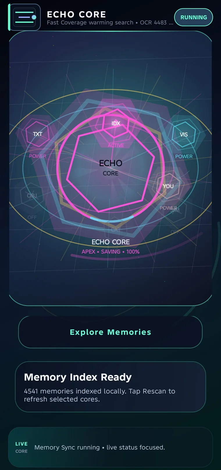 Echo local processing screen