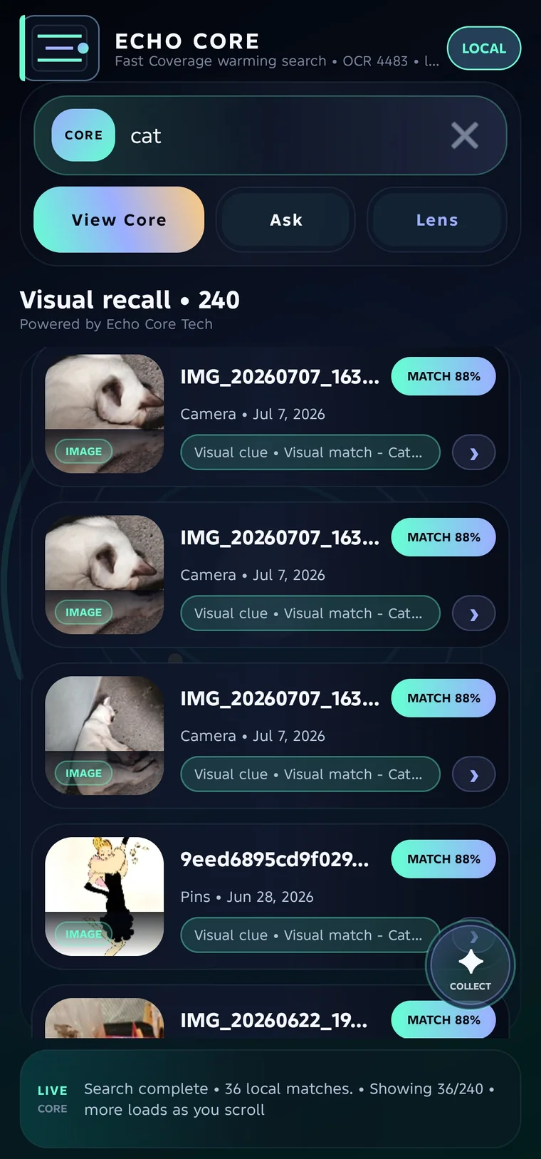 Echo local media search interface