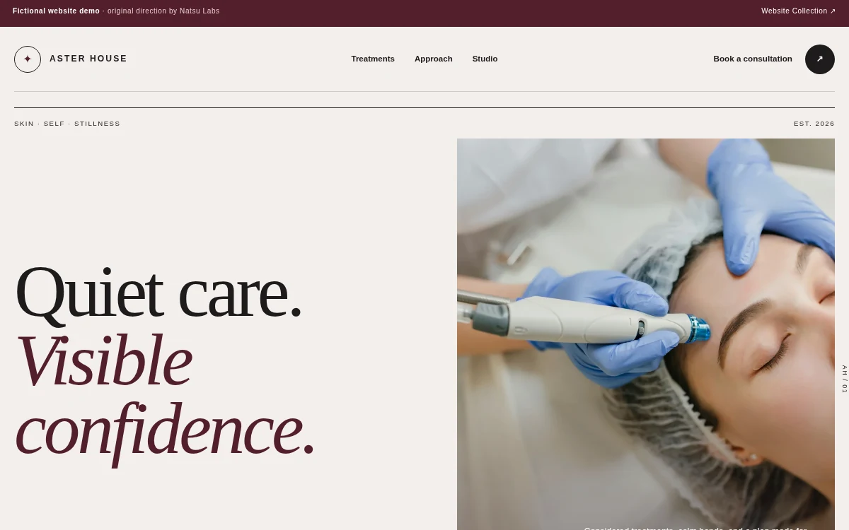 Aster House fictional website concept